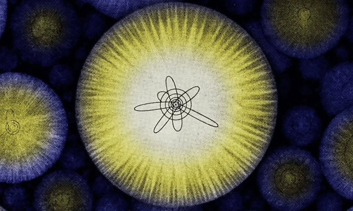 The Present as a Prelude: Why Some Physicists Believe Today is a Superposition of Many Tomorrows